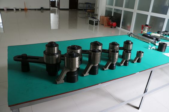 Hinh anh thuc te dau co le nhan luc