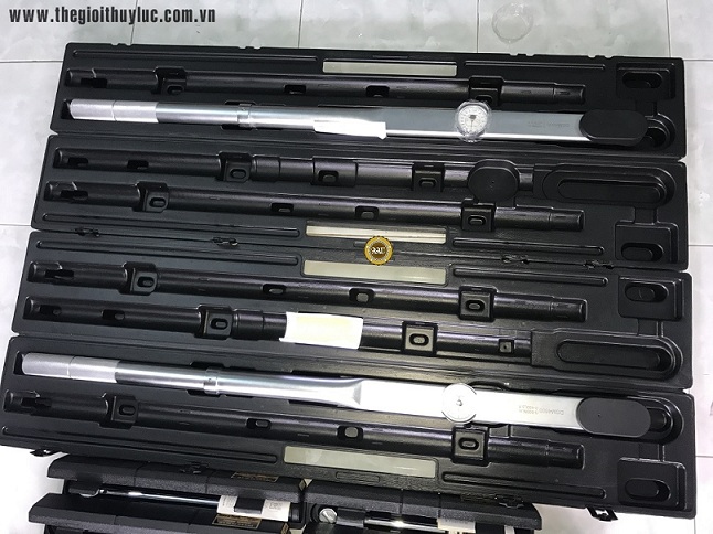 colelucchikim, coleluc, torqueleader, dsm4600, thegioithuyluc, thegioithuyluc.com.vn,