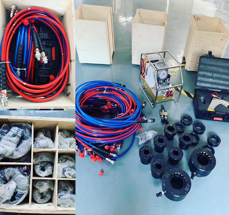 hinh anh ong day co le thuy luc