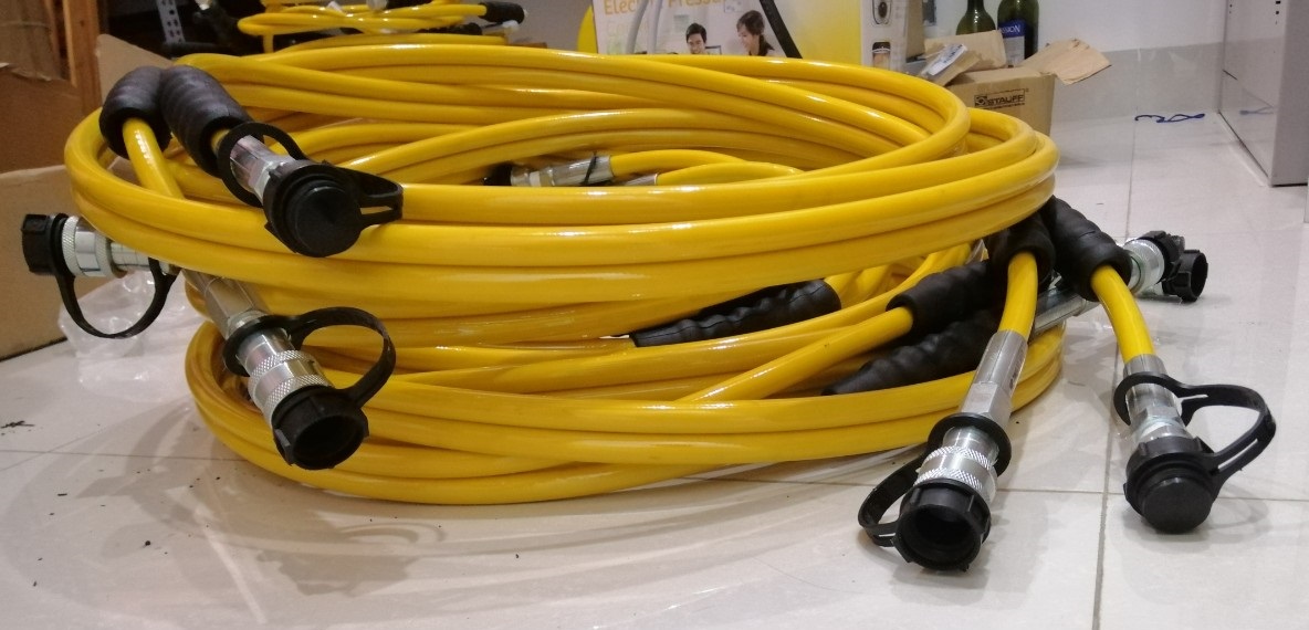 hinh anh ong day co le thuy luc