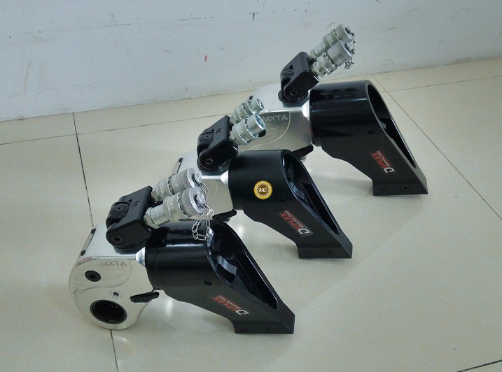 CO LE THUY LUC DANG CHUP 433-4332 N.M