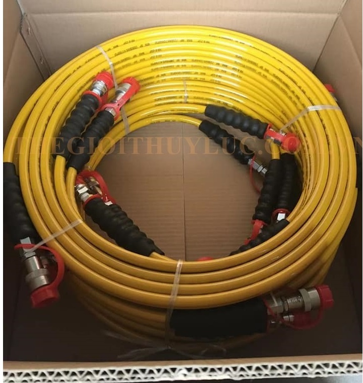 ong day co le thuy luc 3m